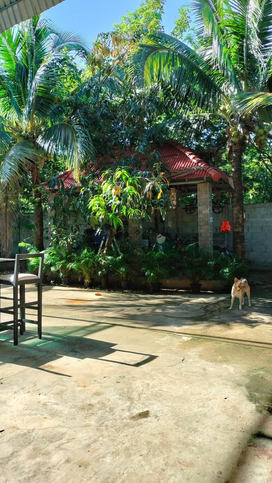 La Maison De Soriya - Work & Stay Kampot Exterior foto